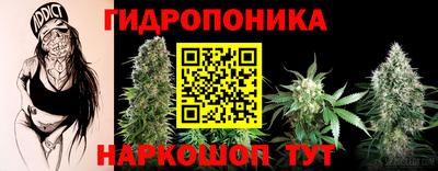соль ск Будённовск