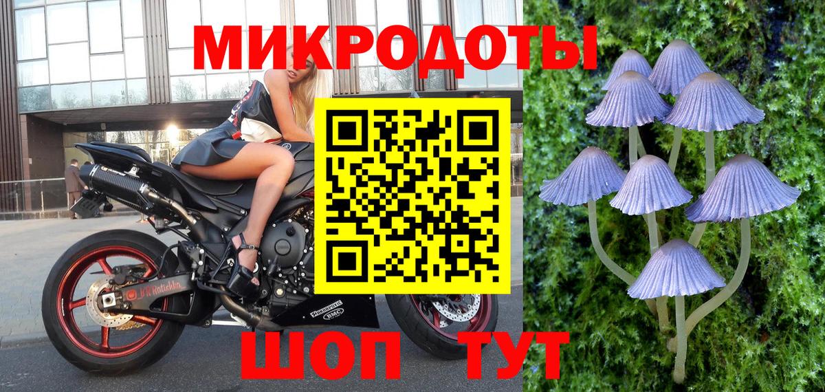 Армавир  Псилоцибиновые грибы Psilocybe  Галлюциногенные грибы Psilocybine cubensis  Вход с VPN 